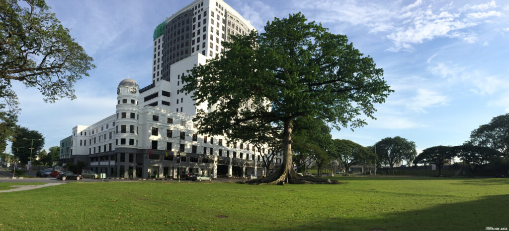 The Silk Cotton Tree in Merdeka Square Kuching