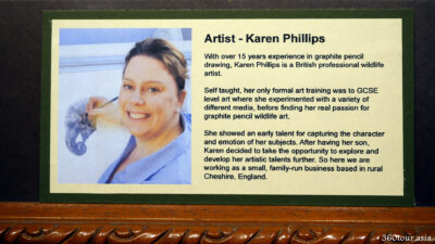 The background of the Artist Karen Phillips
