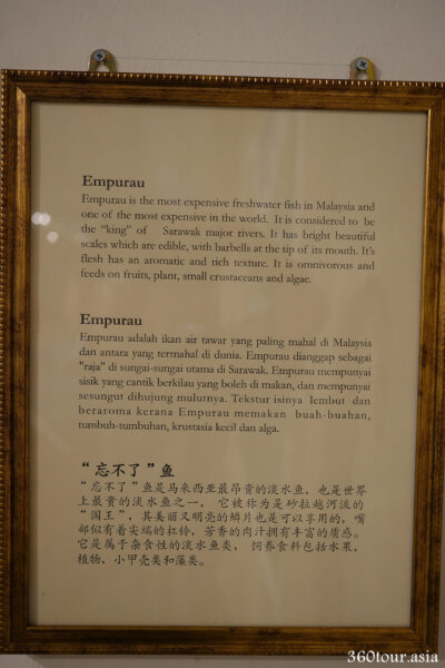 The description of the Mural Empurau