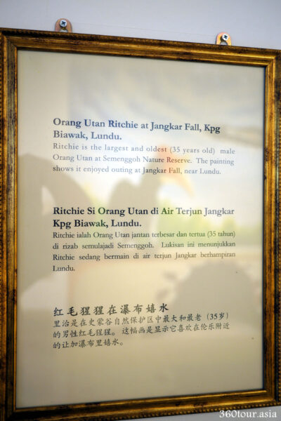 The description of the Mural Orang Utan Ritchie