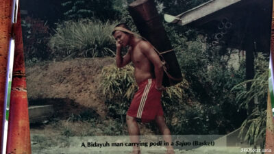 A bidayuh man carrying podi in a Sajuo