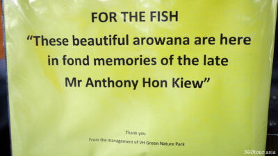 在鱼缸上的通告写着这些金龙鱼是生前 Mr Anthony Hon Kiew 所饲养的