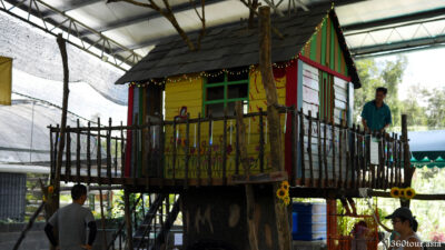 人造假树屋提供小孩攀爬游乐