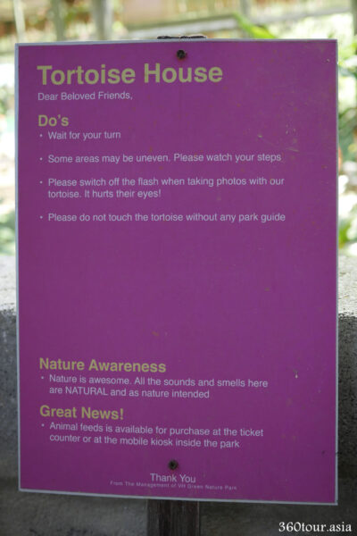 Some rules while at the Tortoise house