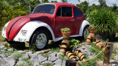 Uniquely placed pots mimic two human figure beside an classic beetle car