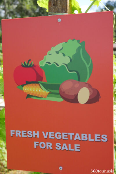 Fresh vegetables are also available for sale here