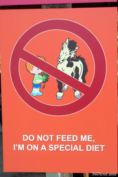 Signage on warning not to feed the horse