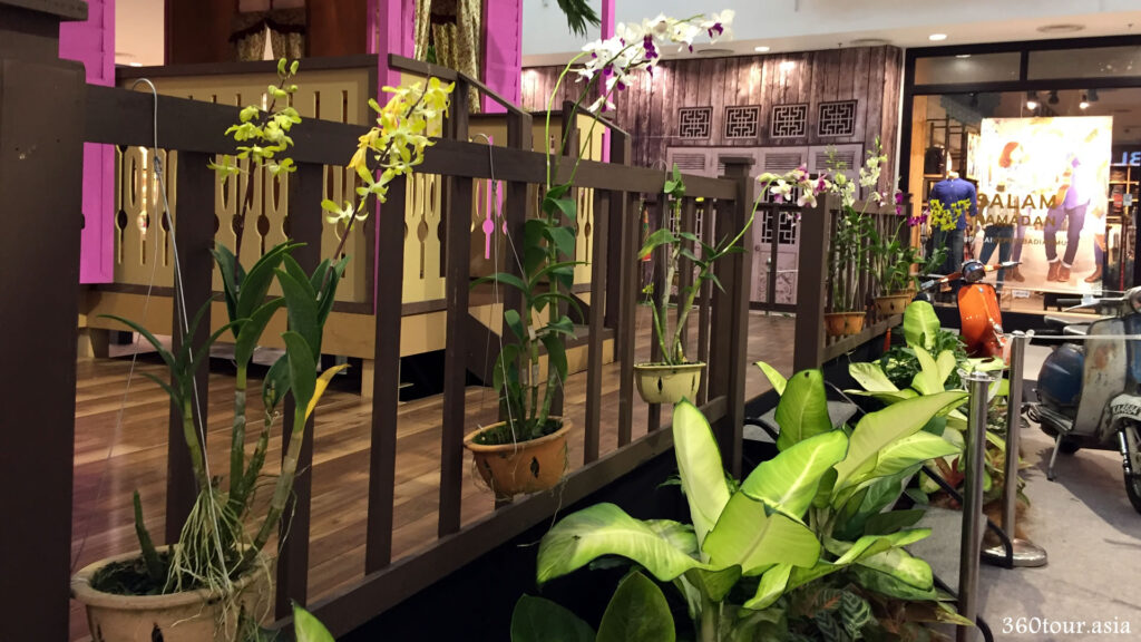 Potted plants and orchids along the balcony of the house