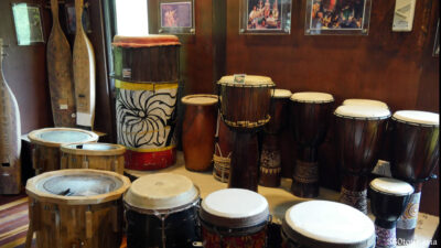 More classical music instruments in the Rainforest Music House