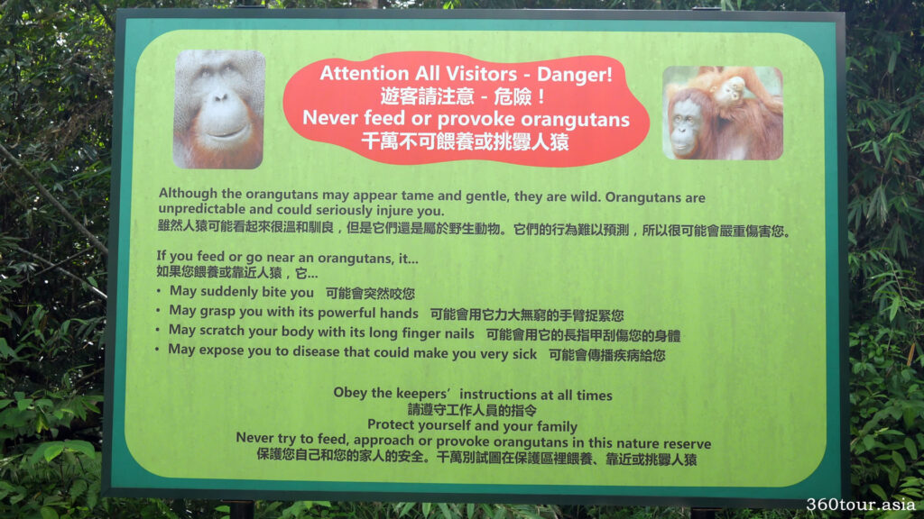 Warning signage in the wildlife centre prohibit visitors to feed or provoke the orangutans