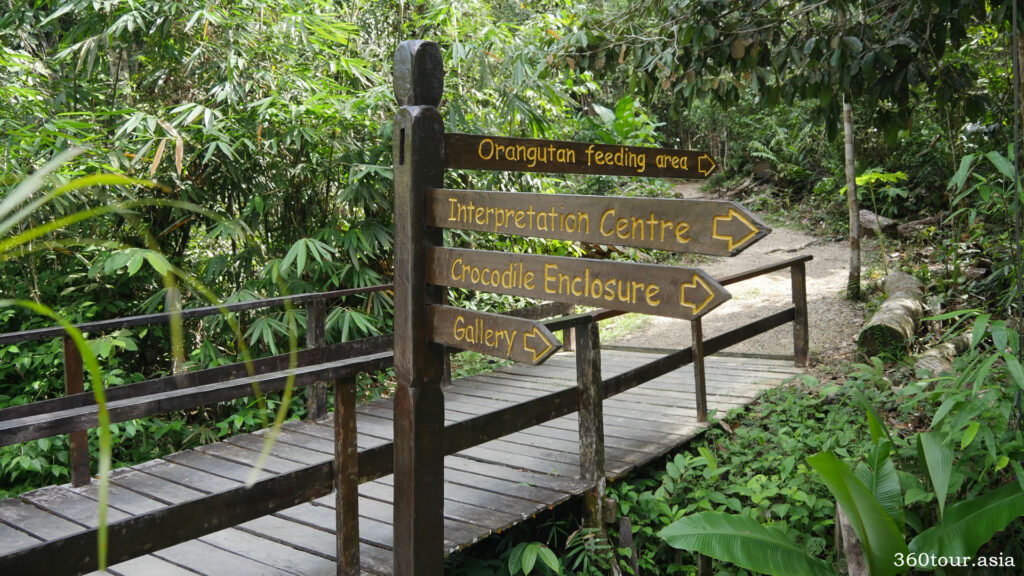 The bridge and path to the Orangutan feeding area