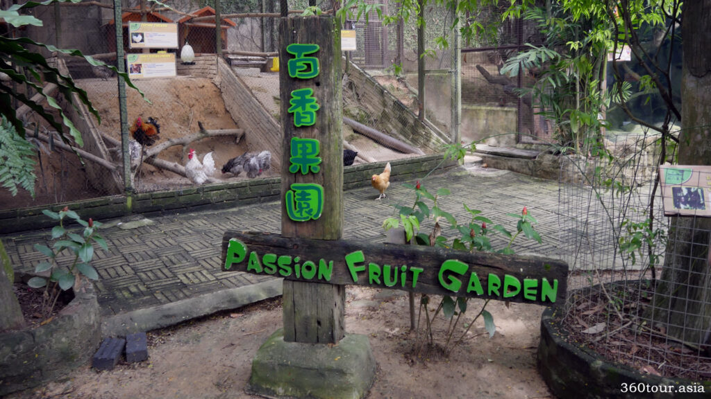 The signage of the passion fruit garden