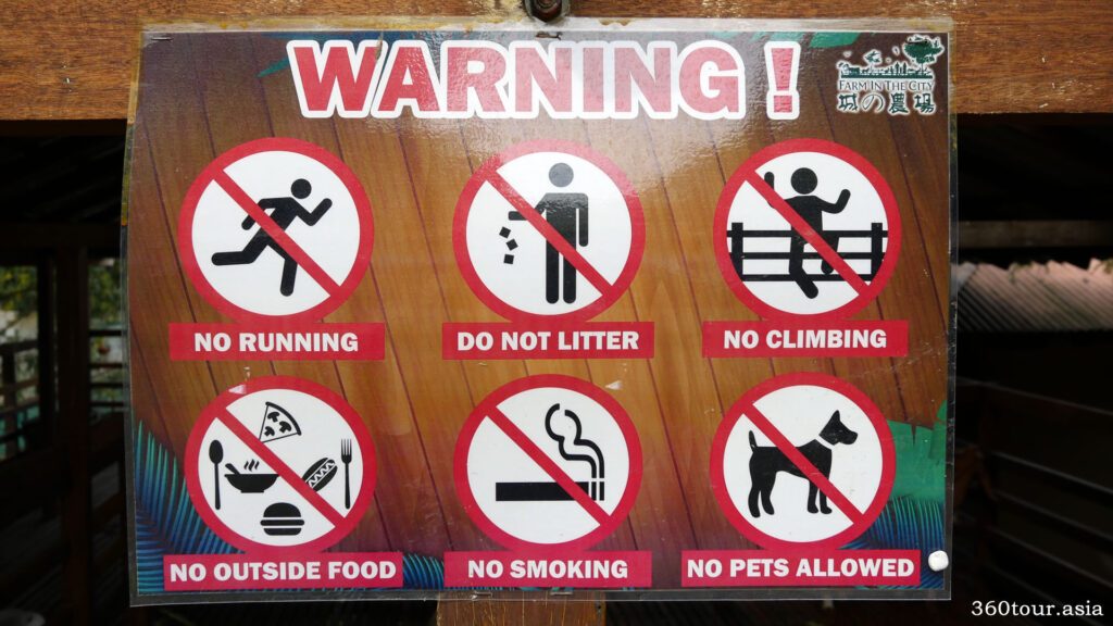 The basic rules when visit the animals