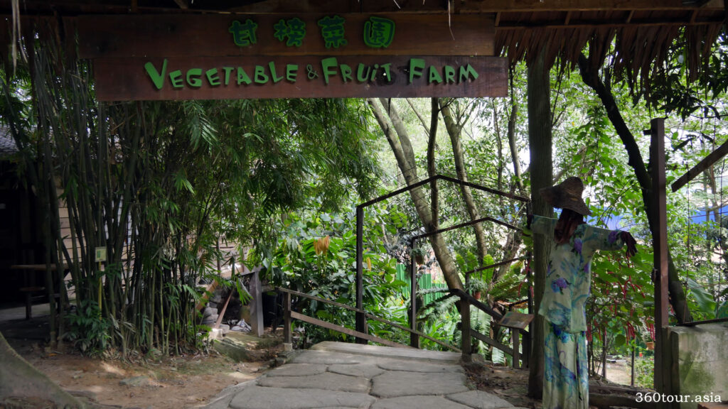 Entrance to the vegetable farm