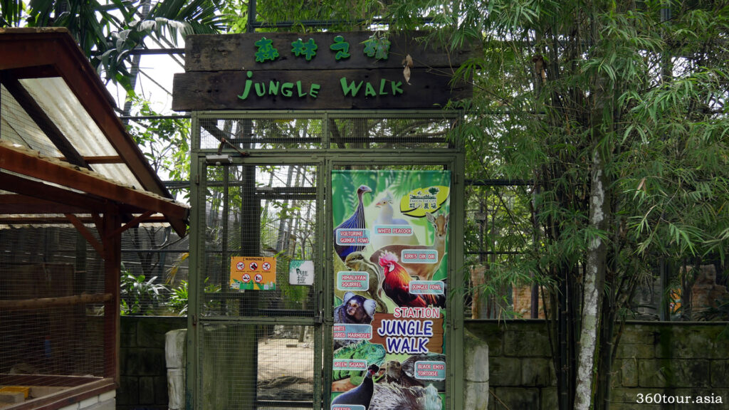 The entrance to jungle walk