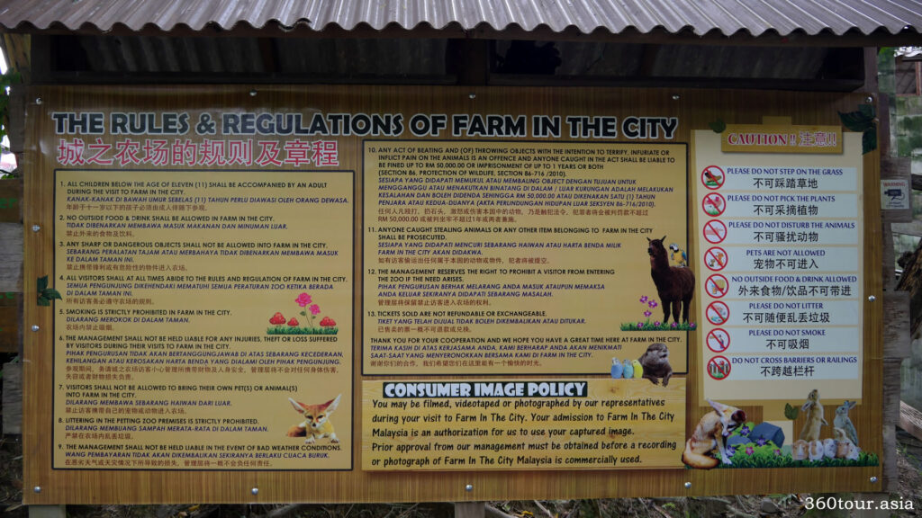 The rules and regulation of Farm in the City