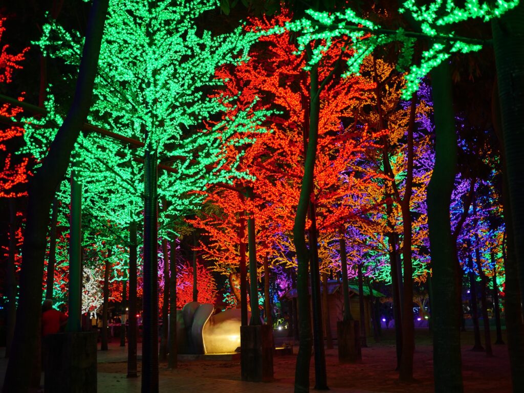 light trees forms a LED Jungle