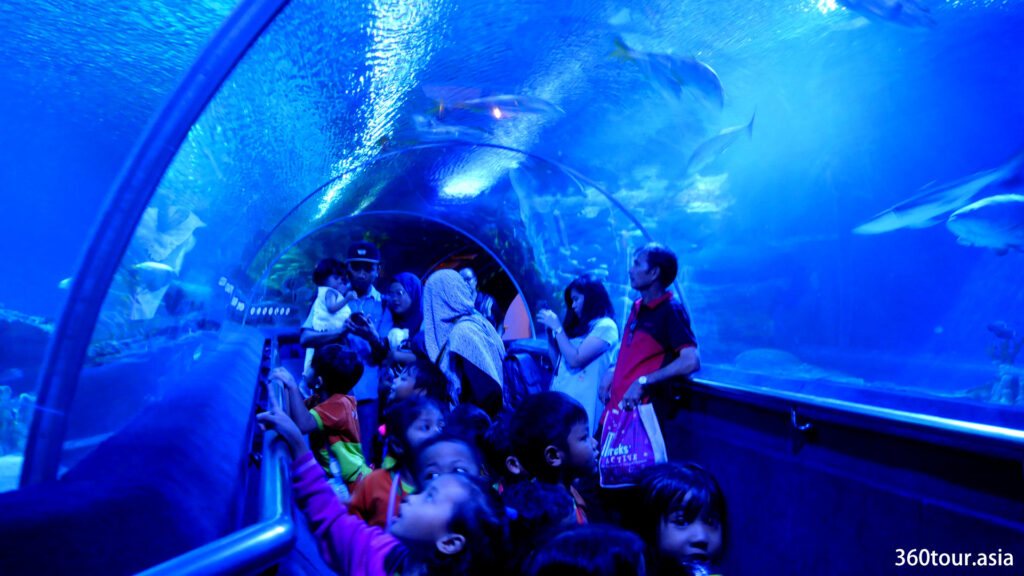 The Underwater Moving Tunnel at AquariaKLCC.