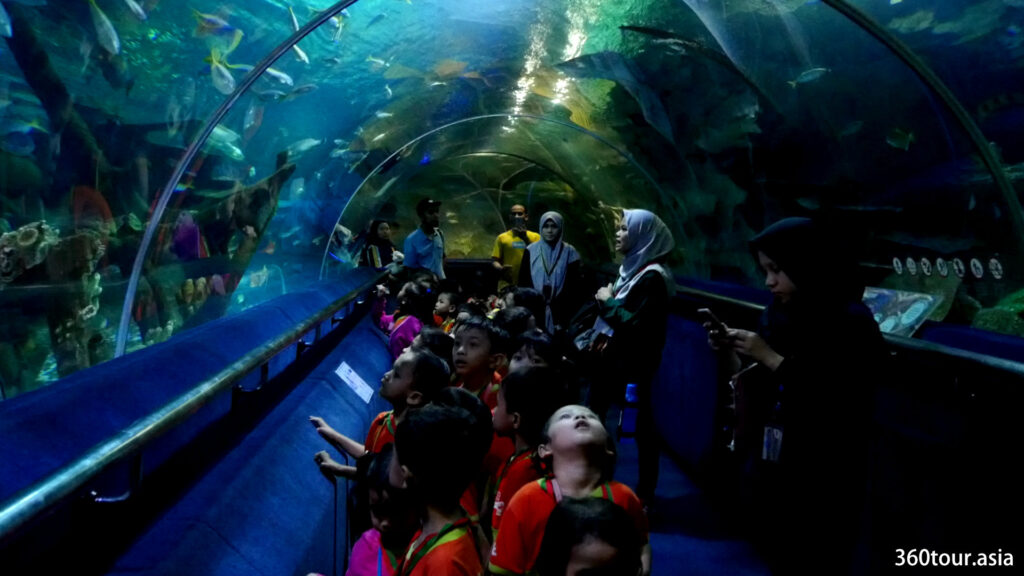 School Children are amazed by the shark and stingray swimming above the clear tunnel.