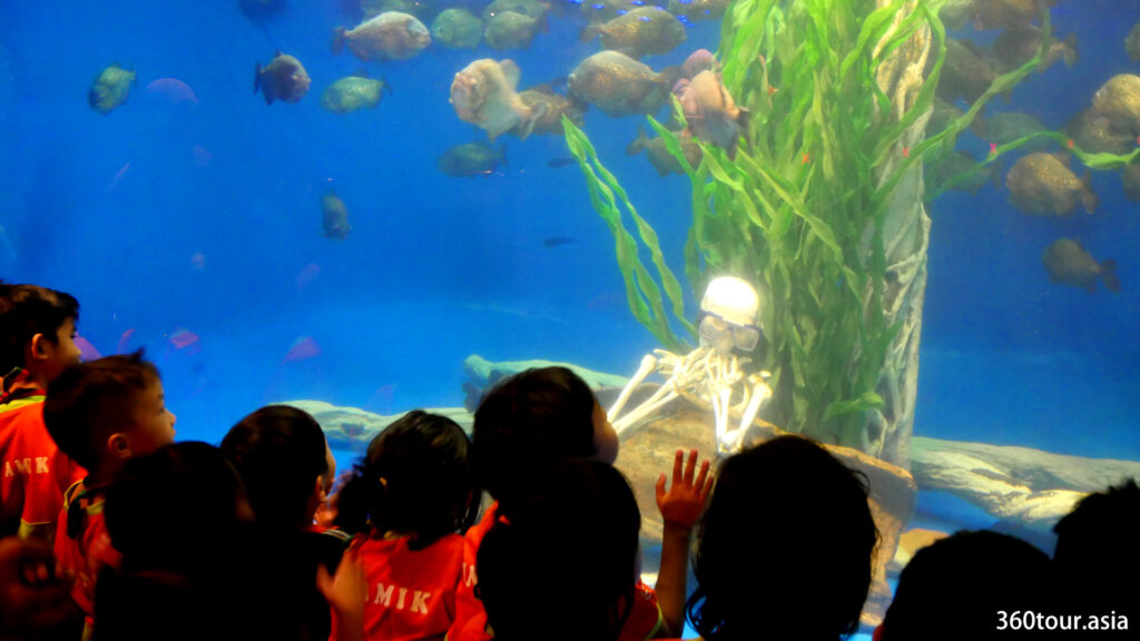 School children are curiously gathered in front of the Piranhas tank.
