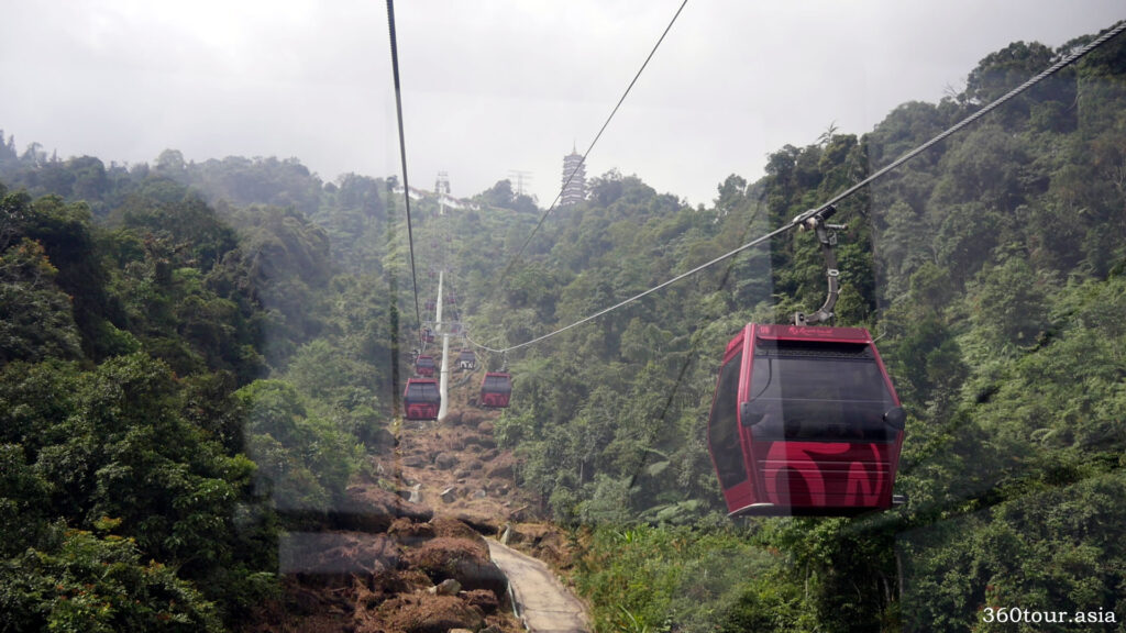 A view from the gondola