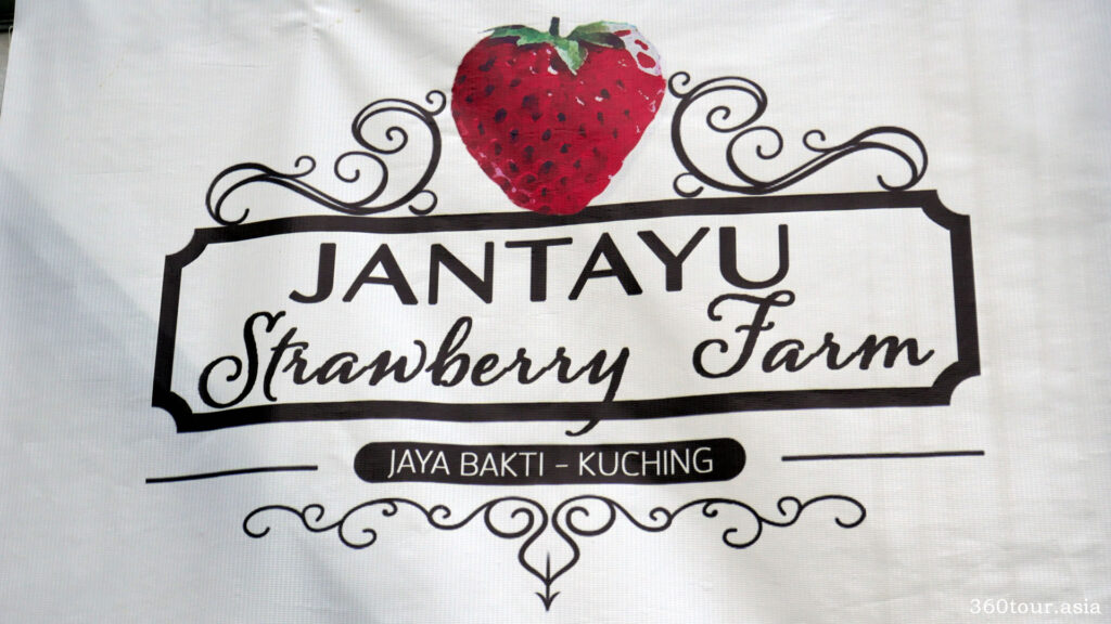 Jantayu草莓农场商标横