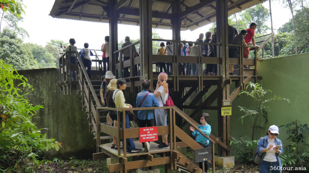 The observation deck to observe the orangutan rehabilitation enclosure