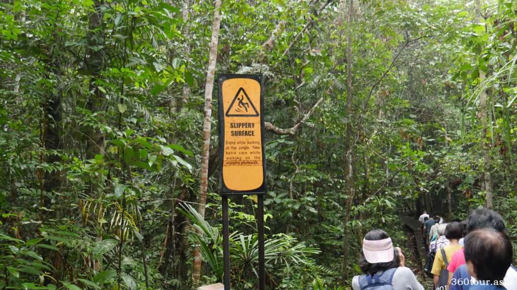 The Animal Enclosure Trails takes visitors into natural rainforest