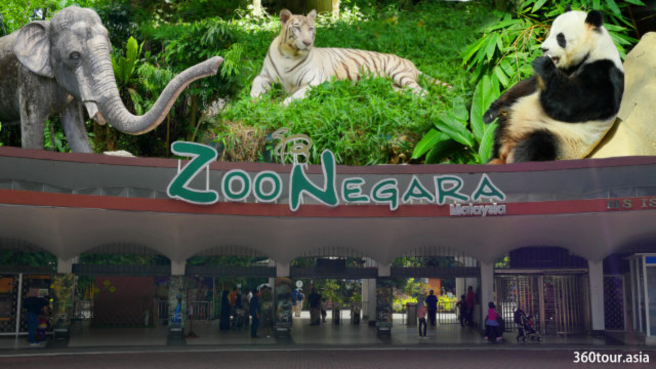 Zoo Negara Malaysia Selangor A Place To Meet The Giant Panda In Malaysia 360tour Asia