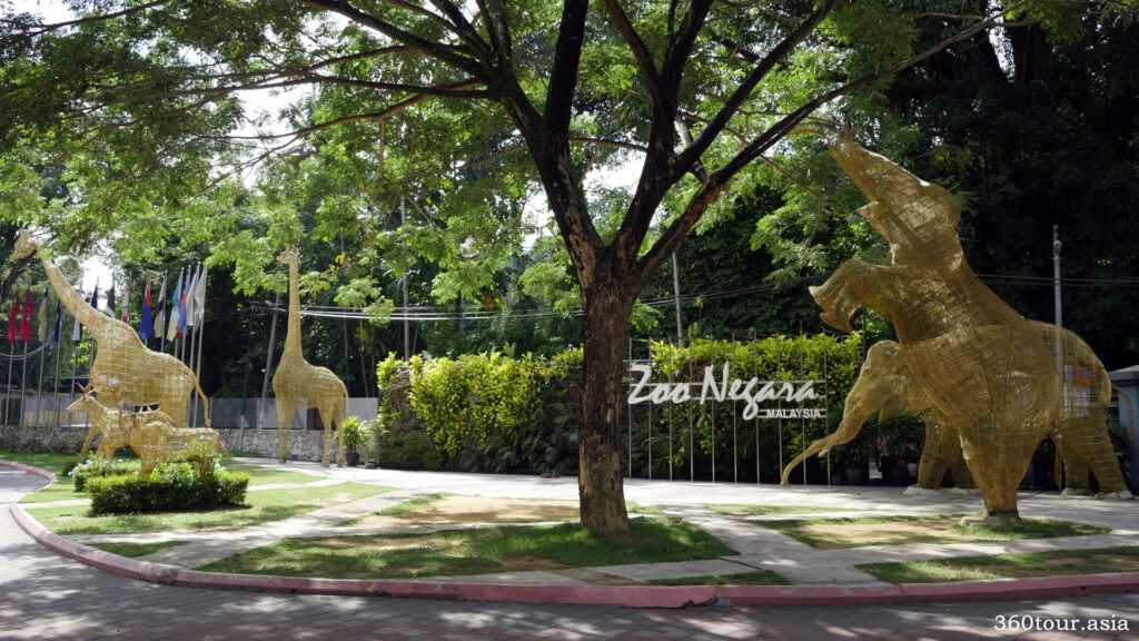 在马来西亚国家动物园停车场旁边的创意性铁丝网艺术品