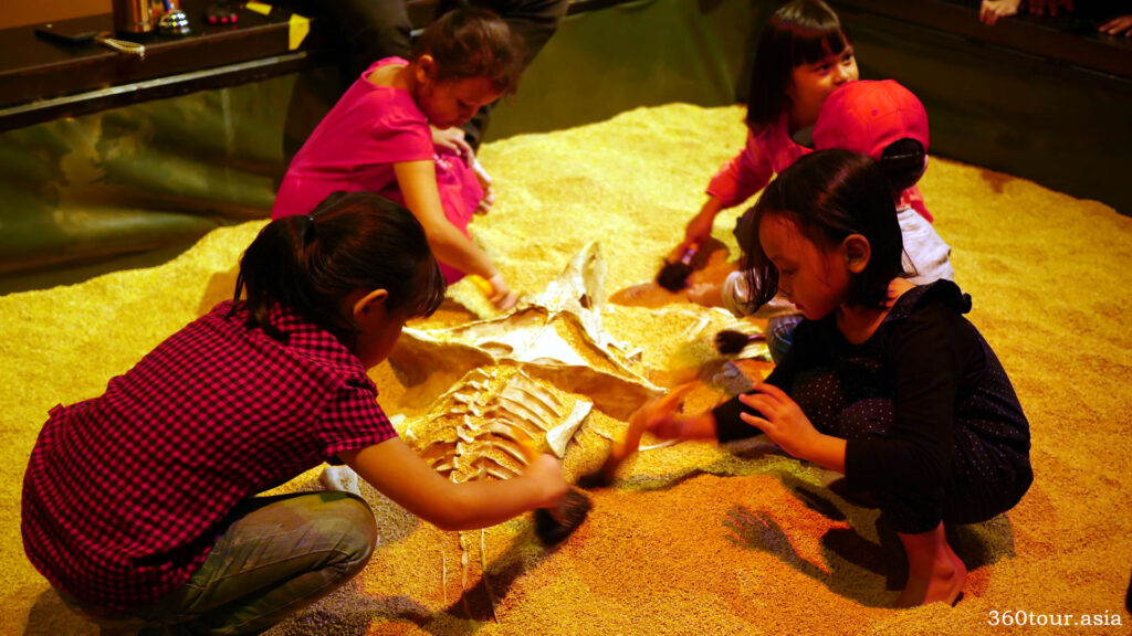 kids love to brush sand off the dinosaur fossils