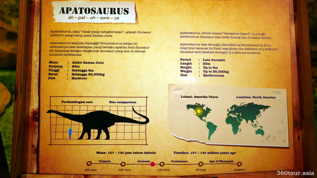 The description of Apatosaurus