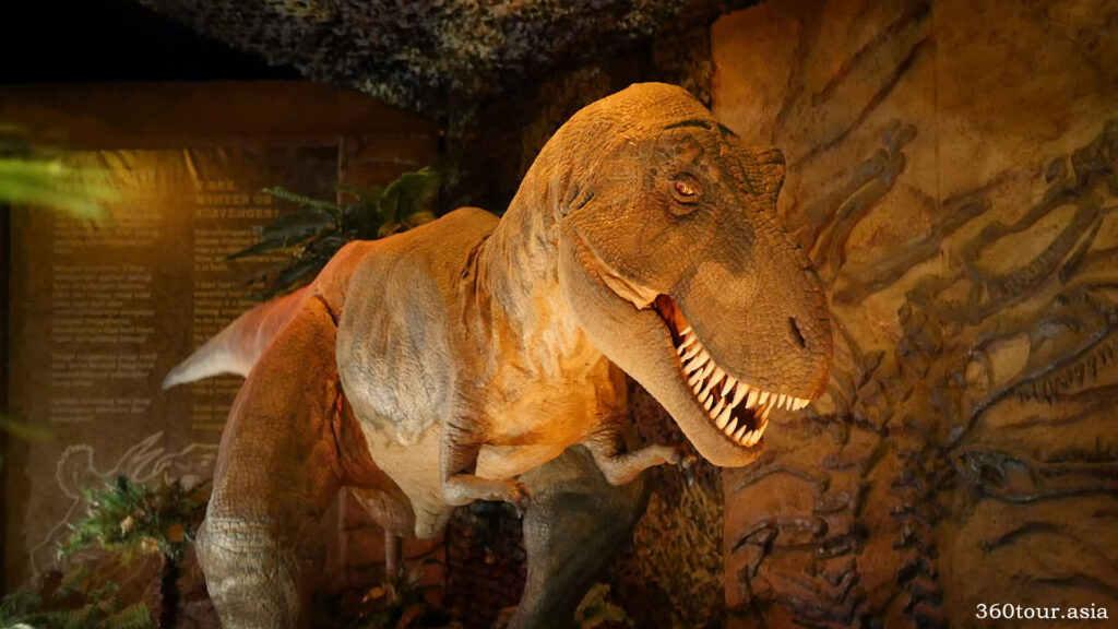 Tyrannosaurus Rex which is famously known as T-Rex