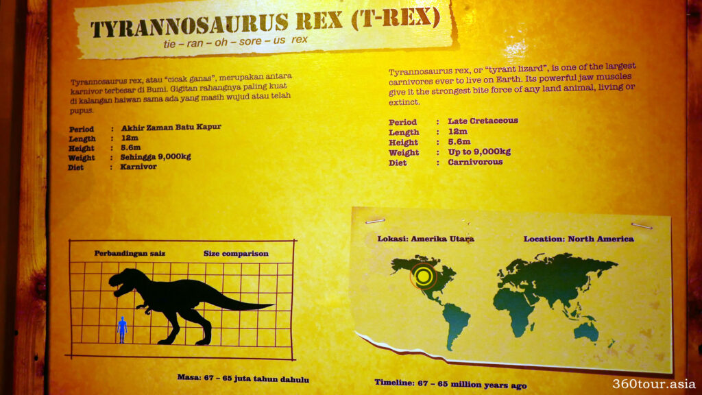 The description of Tyrannosaurus Rex