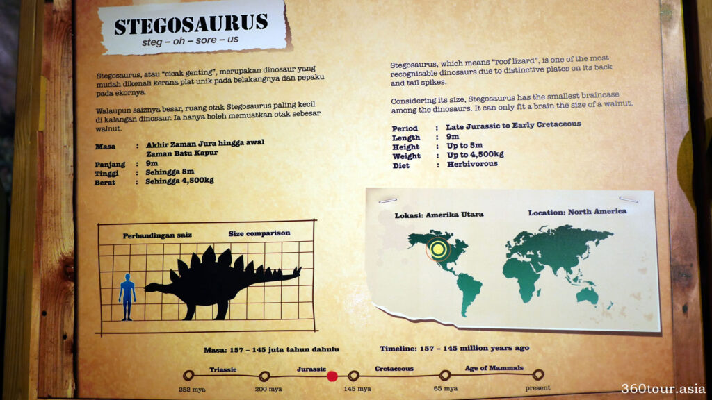 The description of Stegosaurus