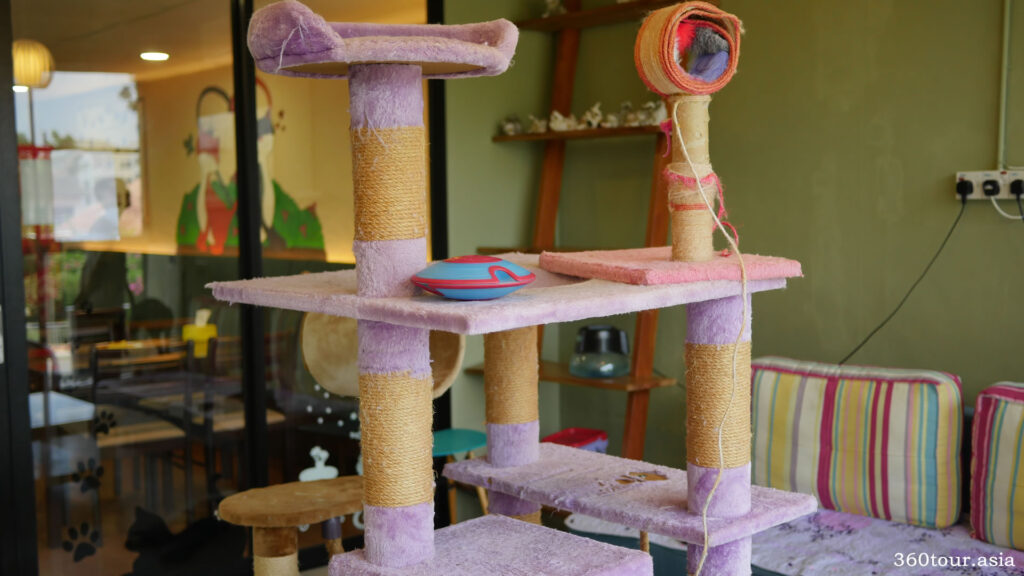 The play tower for cats