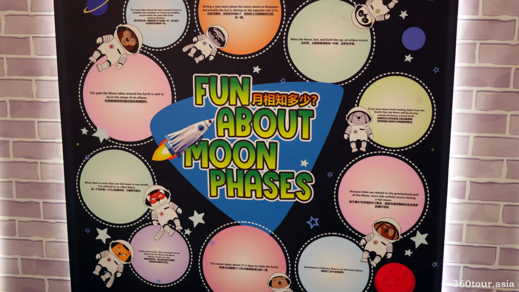 The fun facts about the moon phases