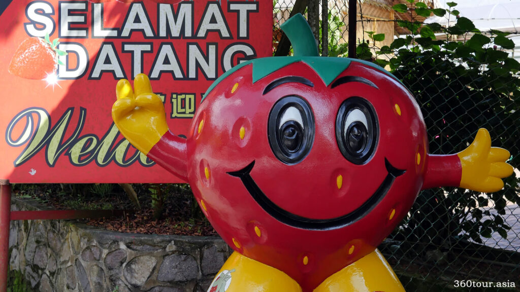 A giant strawberry statue welcomes you at the entrance