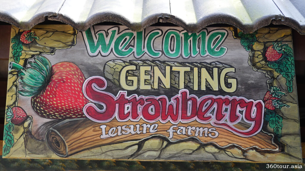 欢迎来到云顶草莓休闲农场