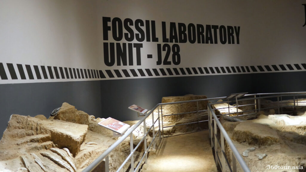 The Fossil Laboratory Unit - J28 of Jurassic Research Center