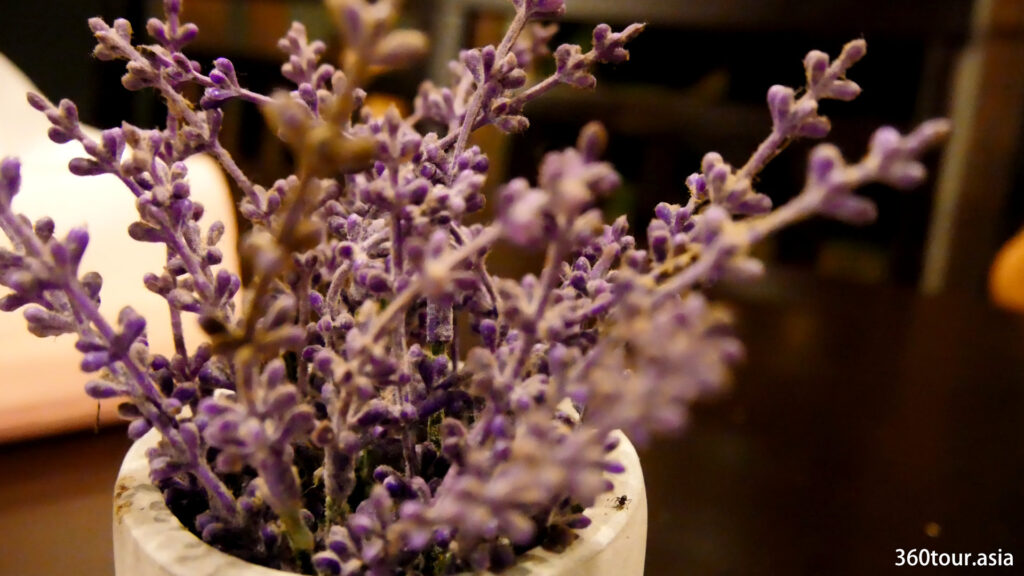 Ornamental pot of lavender.