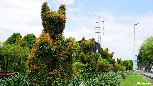 The Cat Garden Sculpture (Cat Themed Topiary) at Jalan Tun Razak Kuching