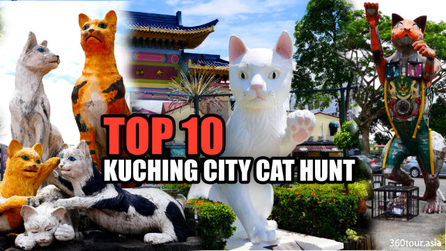 Top 10 Kuching City Cat Hunt