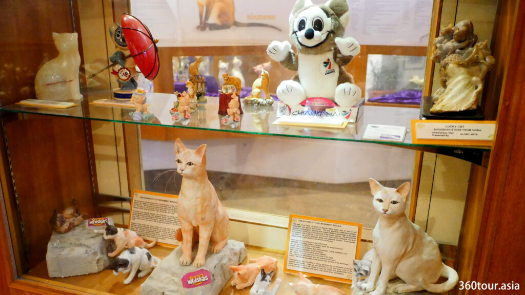 Various Cat Collections.