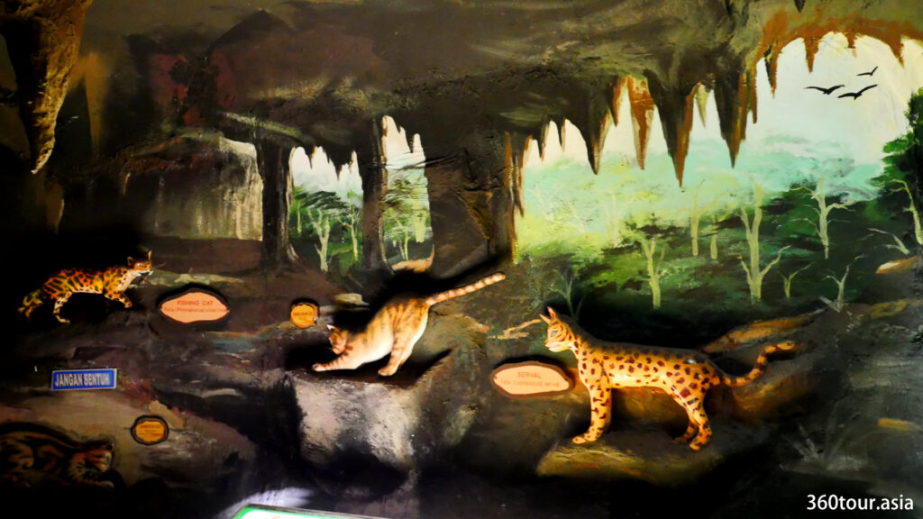 The Cat relatives at cat cave.