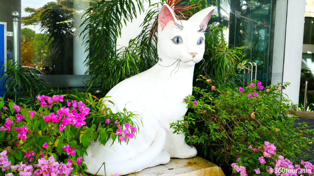 古晋南市政厅猫雕像