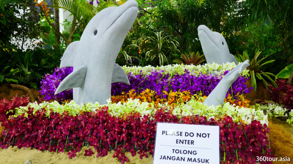 The Orchid Landscape by Indonesia Orchid Society of Malang, featuring dolphin in the sea of orchid.