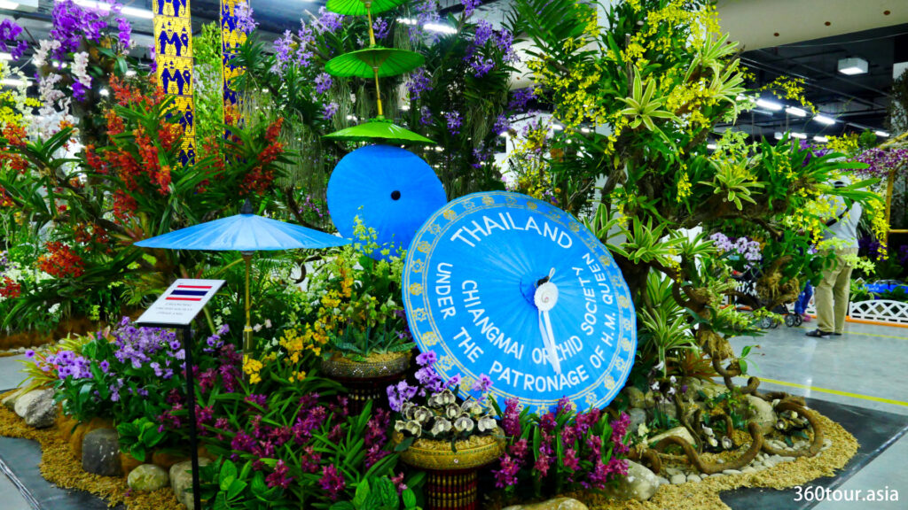 The Orchid Landscape by Chiangmai Orchid Society from Thailand, featuring umbrellas and the orchids. 