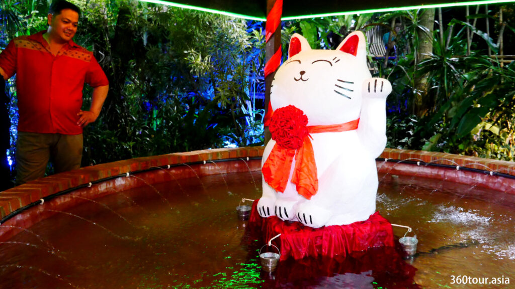 The fortune cat is one of the favorite place for people to make a wish and toss a coin.
