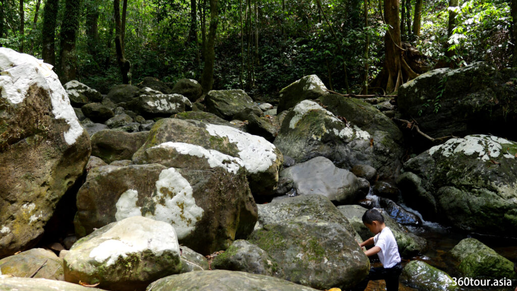 Huge boulders beside the stream.